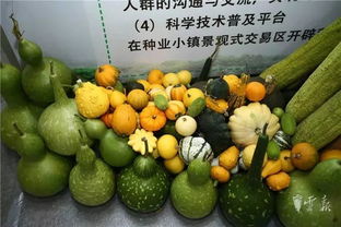 第十五屆昆明農博會開幕啦，快收下這份逛展攻略，周末約起！