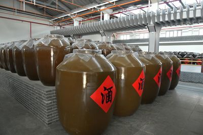 胡新利深入城固酒業公司調研，聚焦產業發展與品牌提升